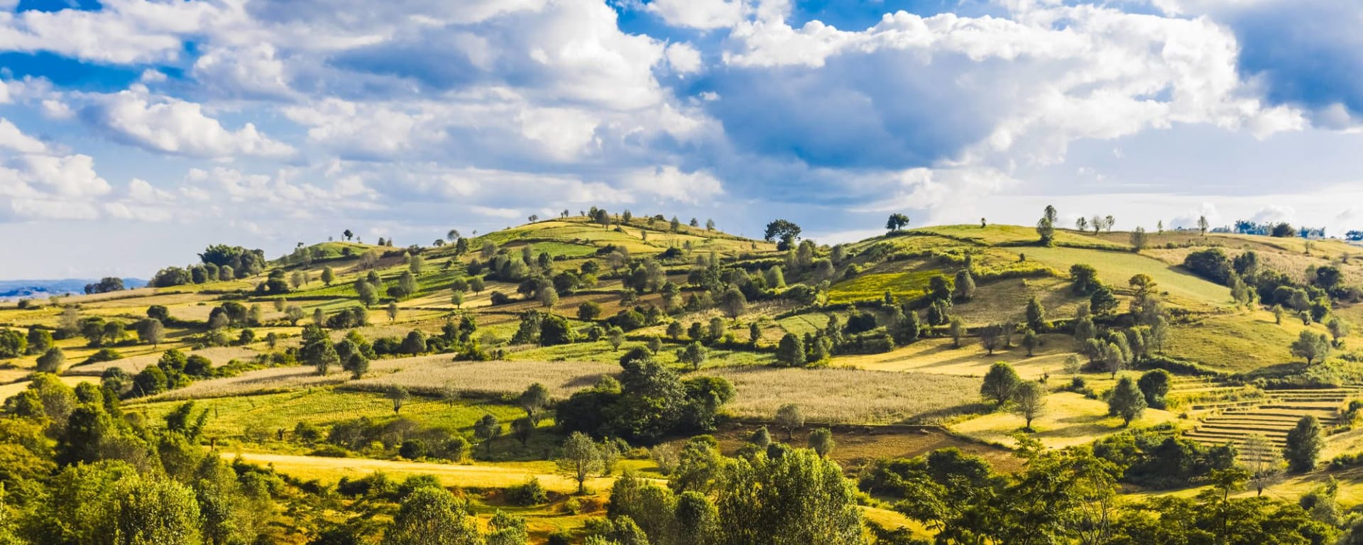 Wandern im malerischen Shan Staat (4 Tage) ab Inle Lake: Kalaw countryside