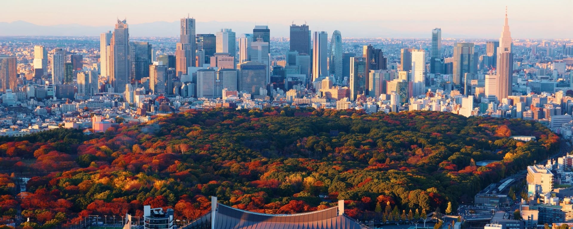 Tokyo à la carte - Journée entière: Shinjuku District and Yoyogi urban park