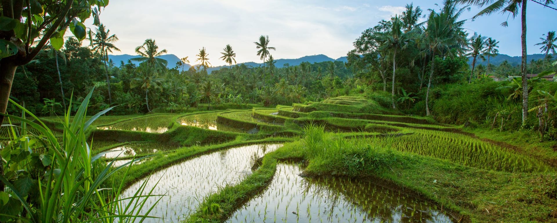 Im Herzen Balis in Südbali: Bali Jatiluwih Rice terraces