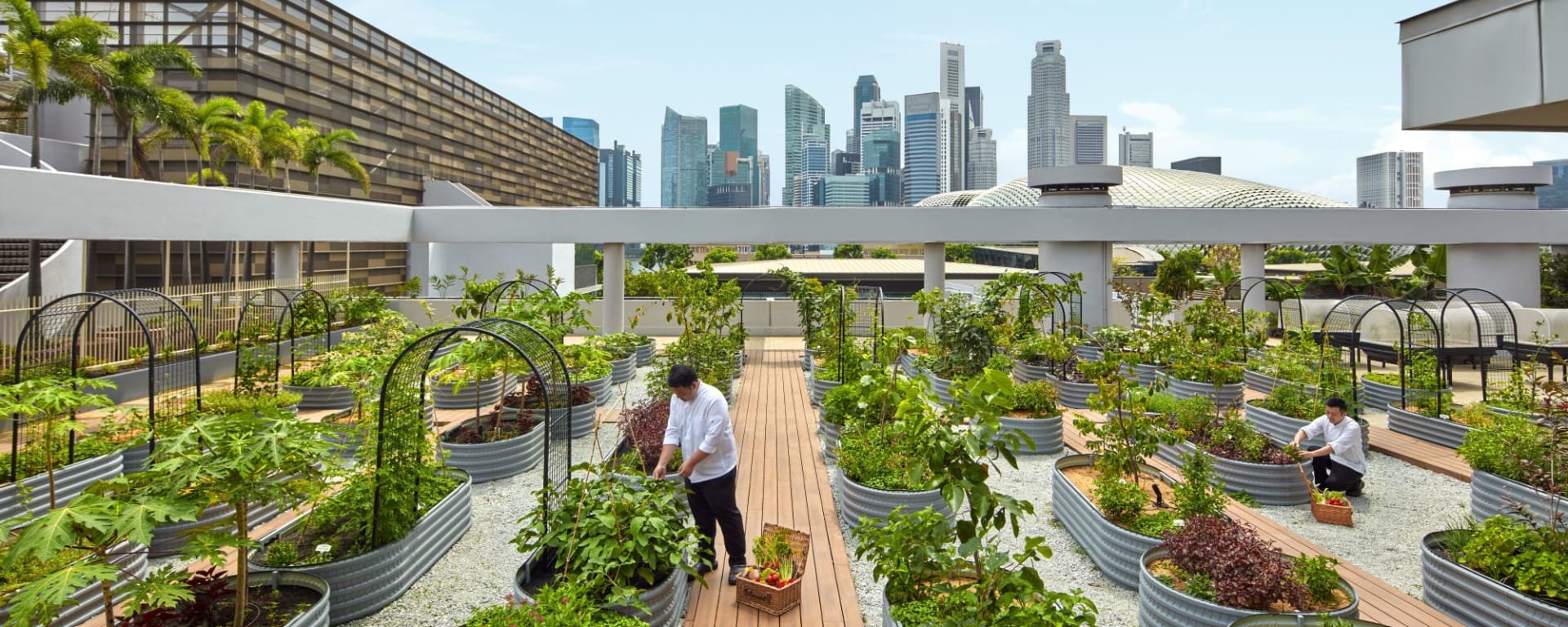 Parkroyal Collection Marina Bay in Singapur:  Urban Farm