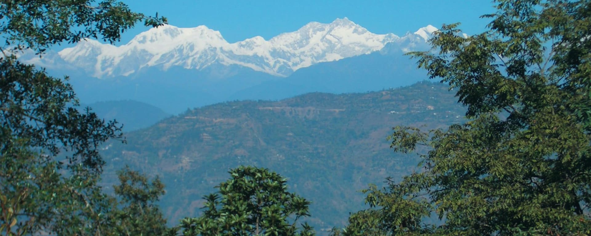 Glenburn Tea Estate à Darjeeling:  View of Mountains from Glenburn