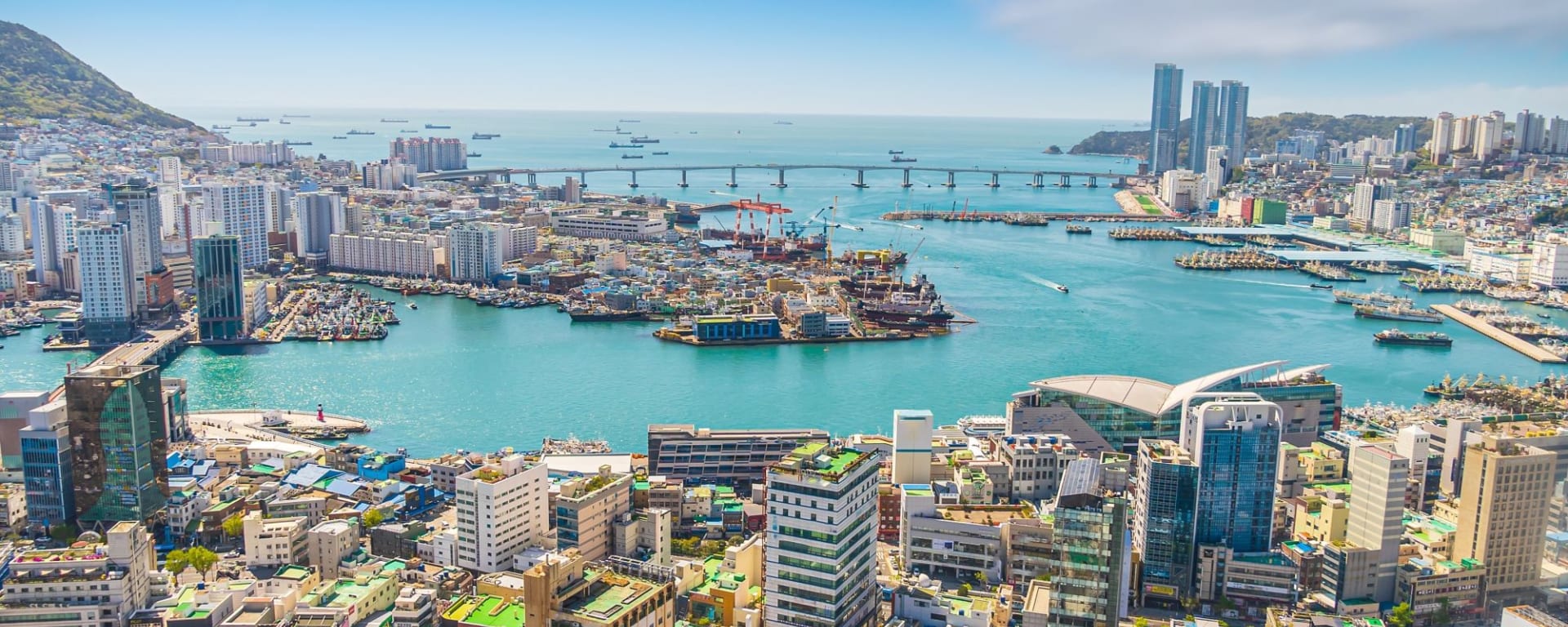Höhepunkte Südkoreas ab Seoul: Busan city skyline from Busan tower