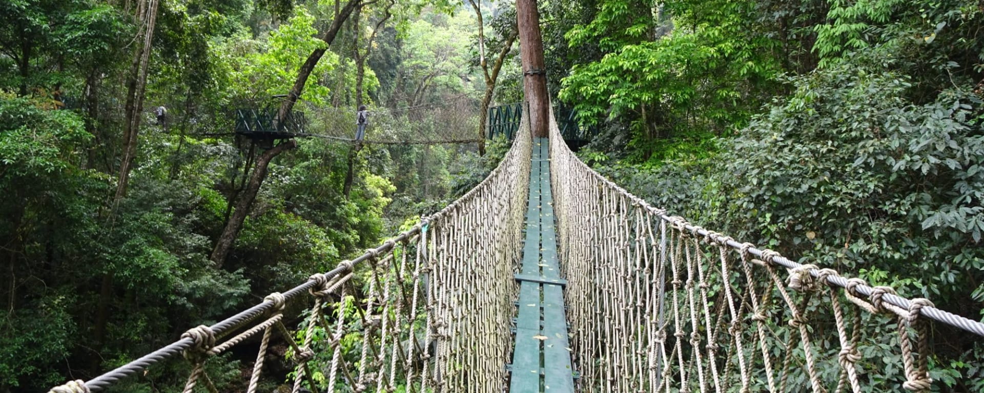 Naturschönheiten Nordlaos' ab Luang Prabang: Nam Kat Yorla Pa | Canopy Walk