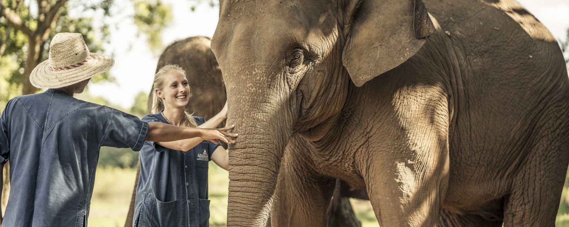 Anantara Golden Triangle Elephant Camp & Resort in Goldenes Dreieck: Elephant Experience