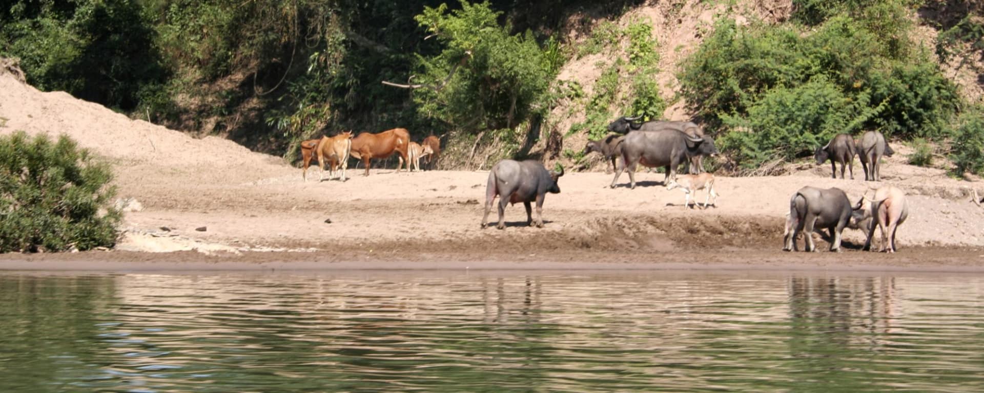 Bergstämme und Natur in Nord-Laos ab Luang Prabang: Laos Muang Khua