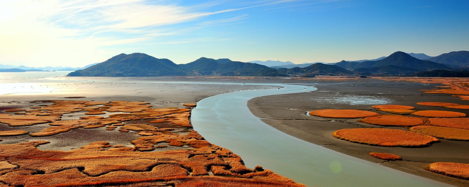 Mietwagen Rundreise «Südliches Korea» ab Seoul: View over Suncheon Wetland Reserve