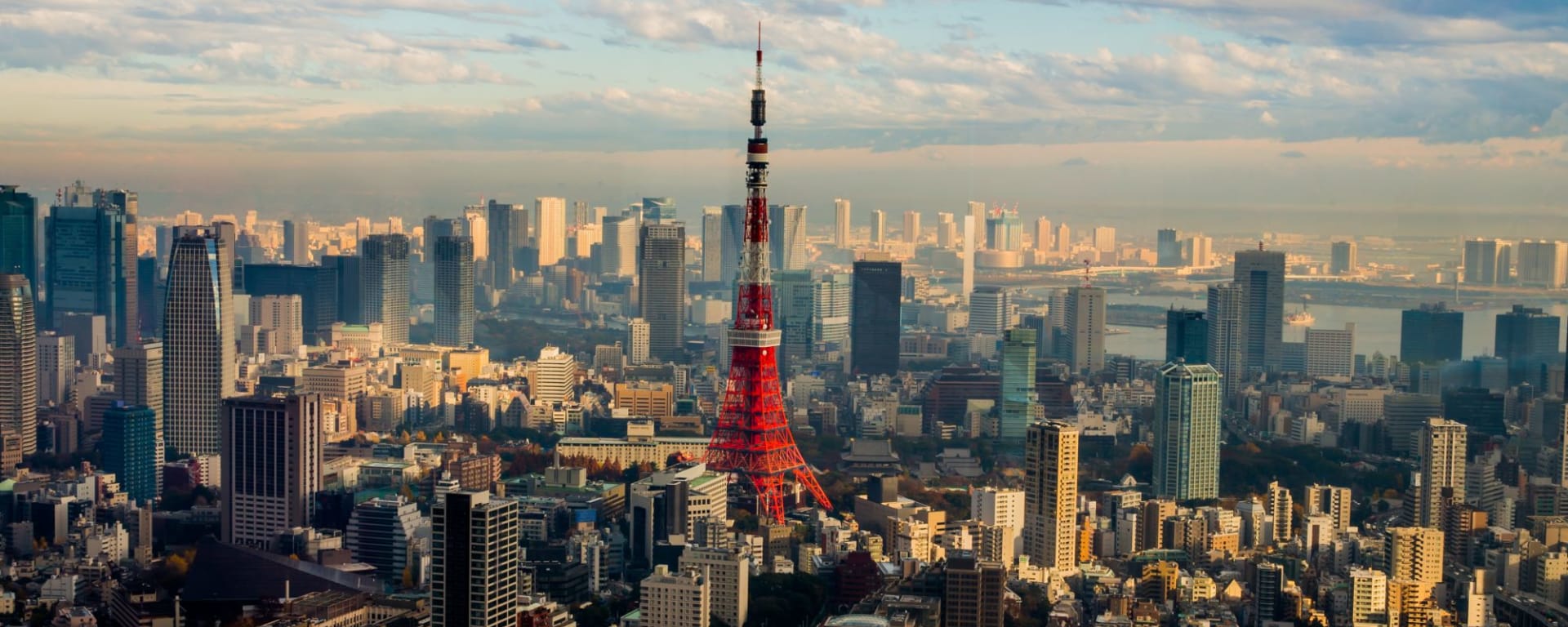 Kontrastreiches Japan ab Tokio: Tokyo: City view with Tower