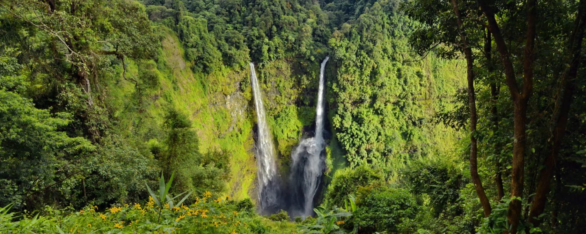 Le sud ravissant du Laos de Pakse: Stunning Tad Fane waterfall