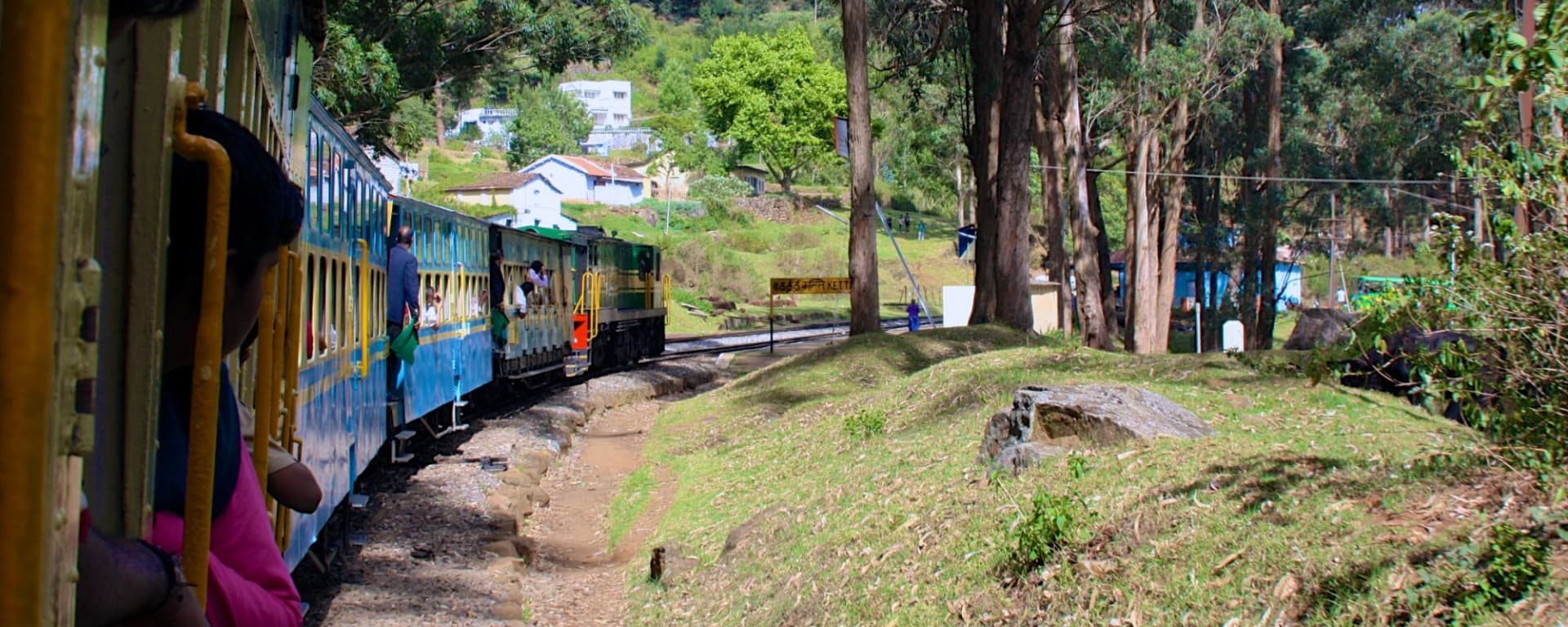 Le sud diversifié de l’Inde de Kochi: Nilgiri: Trainride