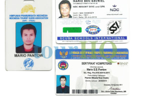 License Image