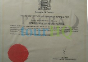 License Image