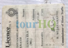 License Image
