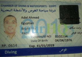 License Image