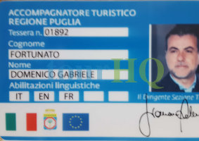 License Image