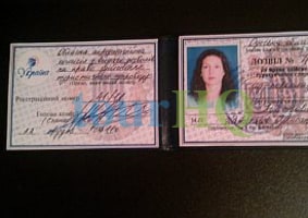 License Image