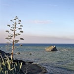 Try Off-Roading in Akamas Peninsula