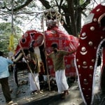 What Is Kandy Esala Perahera?