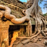 Must Know Things Before You Visit Angkor Wat 