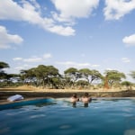 Tanzania Luxury Safari – A Great Trip to Unwind and be Close to Nature