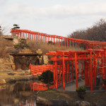 Beautifully Lined Up Torii Gates in Takayama Inari Shrine