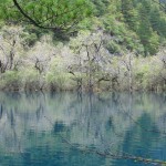 Travel Tips for Travellers to Jiuzhaigou Valley