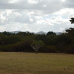 From Dawn to Dusk in Nairobi