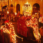 Kandy Esala Perahera