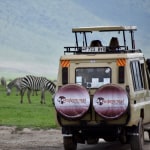 How to Choose an African Safari