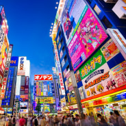 Why you are better off hiring a tour guide in Japan