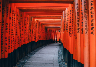 Explore the best of Japan in 7 days