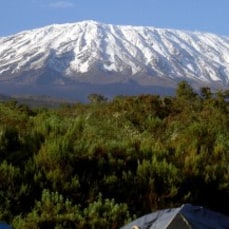 Mount Kilimanjaro features over 7 summits World