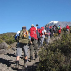 Beginners guide tips to climb Mount Kilimanjaro successful and more...