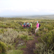 A Kenya Travel Practical Guide Advice to Mount Kenya