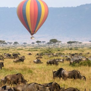 5 Advantages of Choosing Kenya Safari Holiday Tours