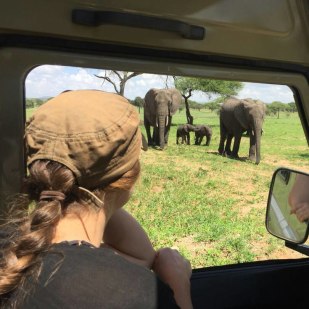 Top 10 Tips to Book an African Safari