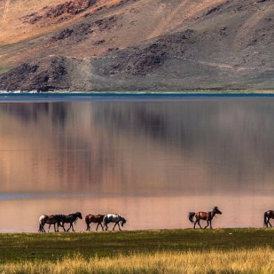 Mongolia is the Last Undiscovered World