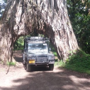 Arusha National Park