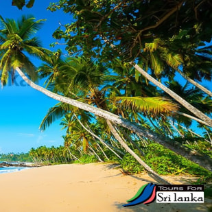 Mirissa - Best of Sri Lanka