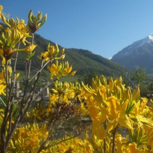 Svaneti; a wonderful corner of Georgia