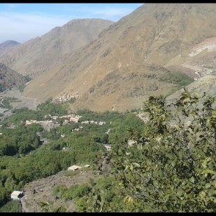 4 Valleys and Camel Ride Day Trip from Marrakesh