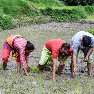 Nepal Trekking Tips