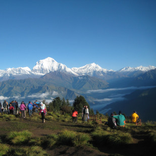 Nepal Ghorepani Poon Hill Trekking