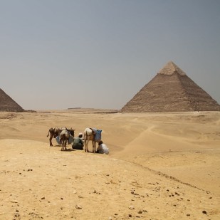 The Great Pyramids of Giza