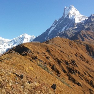 Mardi Himal Trek – A Complete Guide