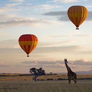 Hot Air Balloon Safari In Maasai Mara