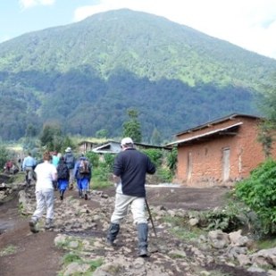 Do the Mt. Bisoke Hike