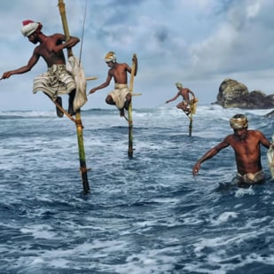 Stilt Fishermen