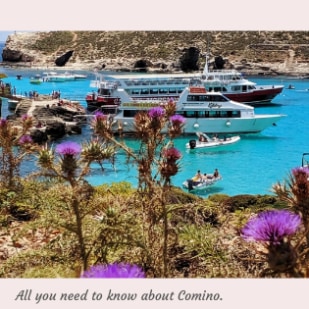 All you need to know about Comino