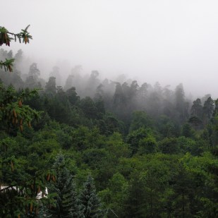 Dilijan National Park