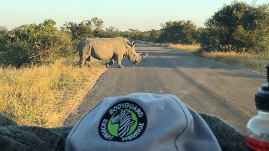 White Rhino crossing the road